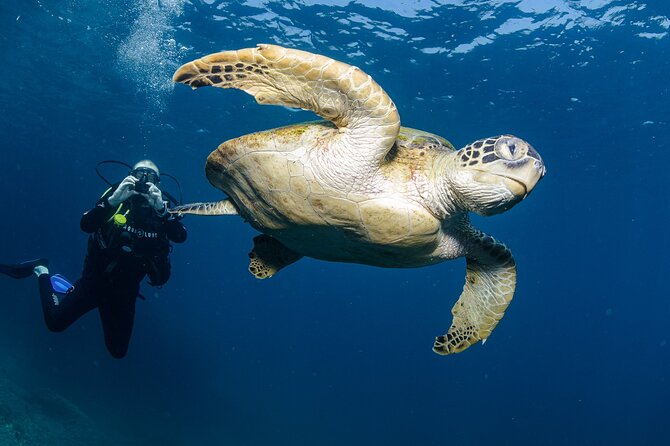 Muscat Diving Experience to Daymaniyat Islands - Meeting and Pickup
