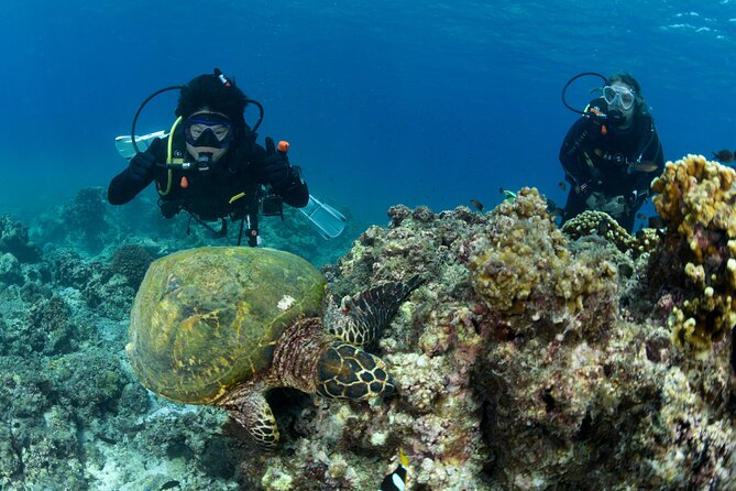 Muscat Diving Experience to Daymaniyat Islands - Location and Transportation