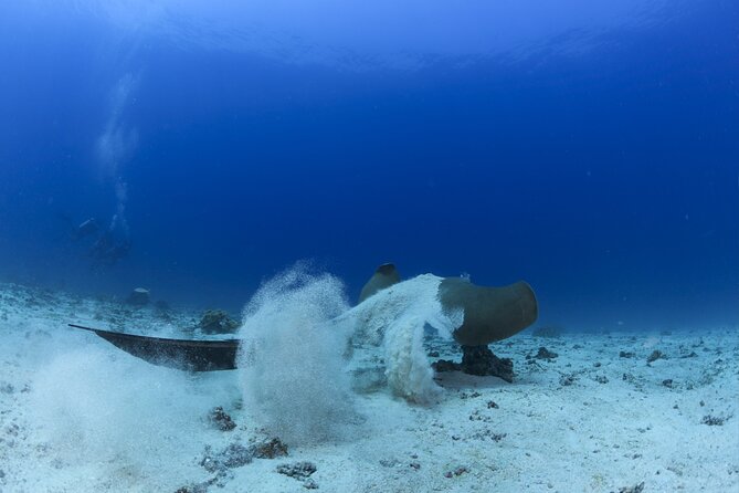 Muscat Scuba Diving Trip to Daymaniyat Islands - Activity Recommendations