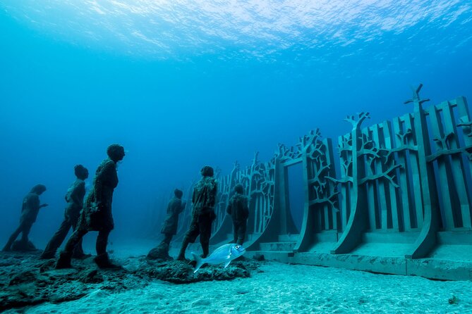 Museo Atlantico for Certified Divers - Rental Equipment and Transfers