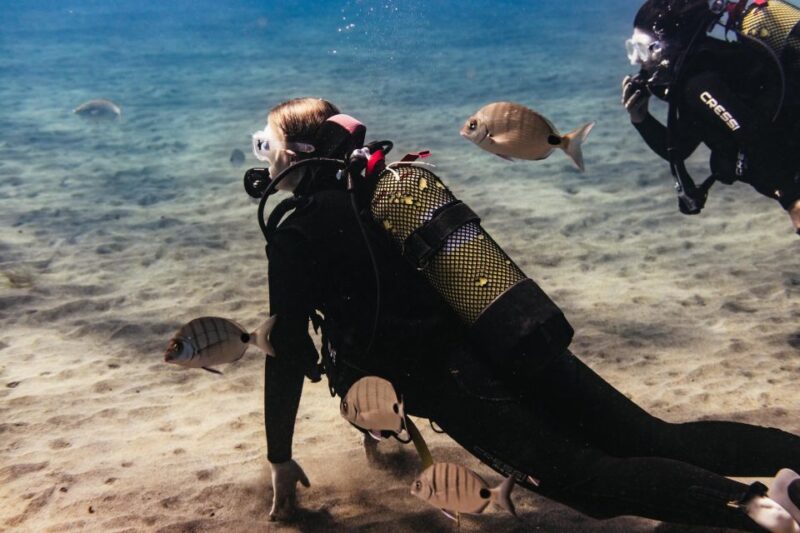 Museo Atlántico: Scuba Dive Lesson for Non-Certified Divers - Museo Atlantico Dive