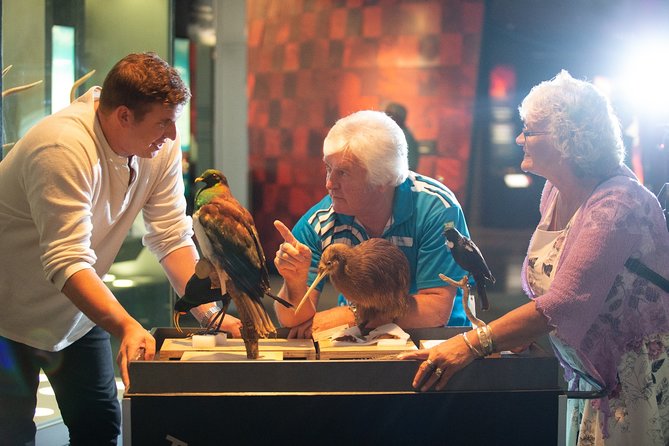 Museum of New Zealand Te Papa: Small Group Guided Tour - Visitor Feedback and Ratings