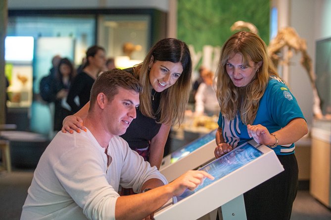 Museum of New Zealand Te Papa: Small Group Guided Tour - Insights Into New Zealands History