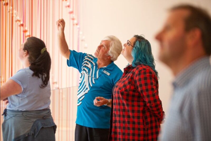 Museum of New Zealand Te Papa Tongarewa Guided Tour - Pricing and Booking