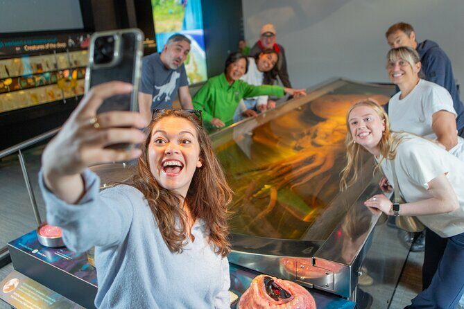 Museum of NZ Te Papa Tongarewa: International Visitor Entry - A Deep Dive into Te Papa