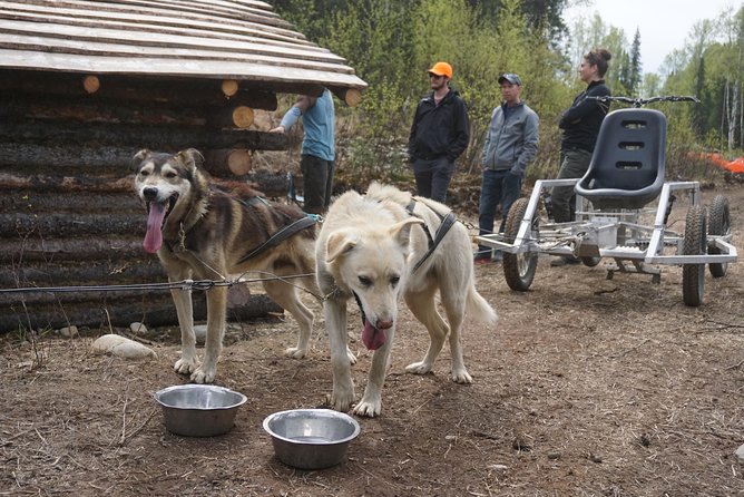 Mush Your Own Sled Dog Team (Summer/Fall Tour) - Transportation