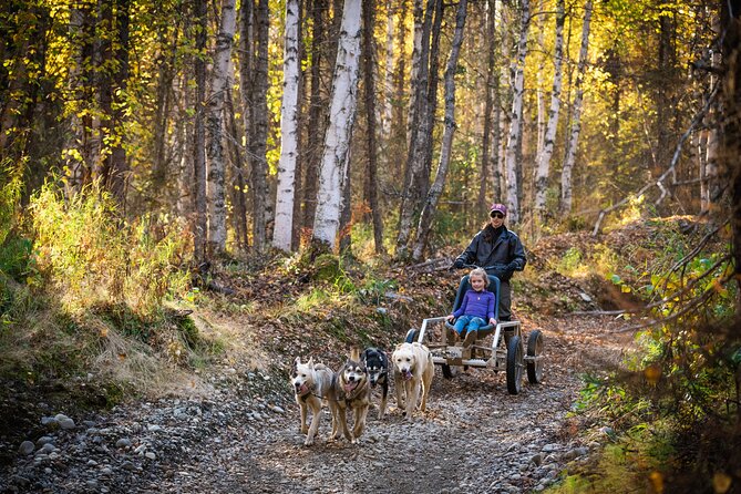 Mush Your Own Sled Dog Team (Summer/Fall Tour) - Accessibility