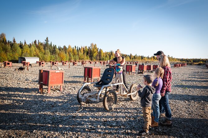 Mush Your Own Sled Dog Team (Summer/Fall Tour) - Cancellation Policy