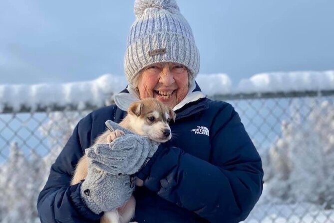 Mush Your Own Sled Dog Team (Winter Tour) in Talkeetna, Alaska - Tour of 4-Time Iditarod Champions Kennel