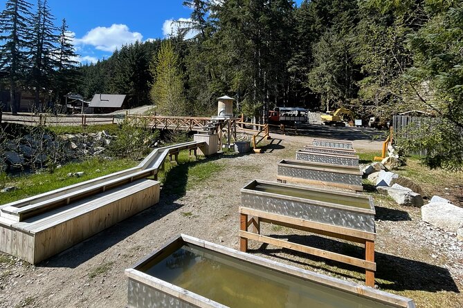 Mushers Camp and Gold Panning Adventure - Panning for Gold