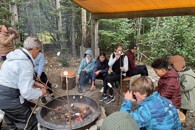 Mushers Camp and Smore Roasting Experience - Highlights of the Tour