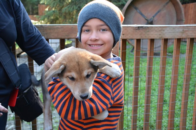 Mushers Camp and Smore Roasting Experience - Nature Hike and Relaxation