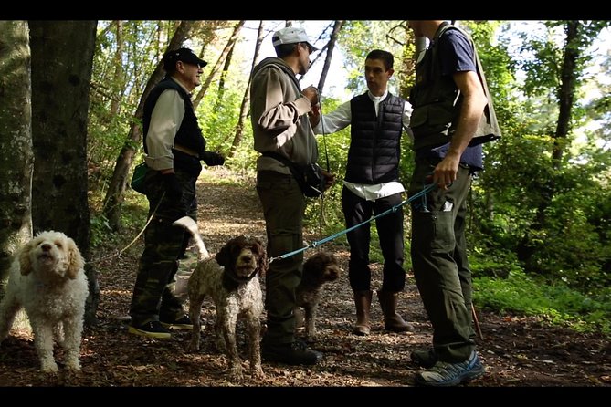 Mushroom And Truffle Hunting - Hunting Etiquette