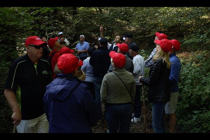 Mushroom And Truffle Hunting - Foraging for Truffles