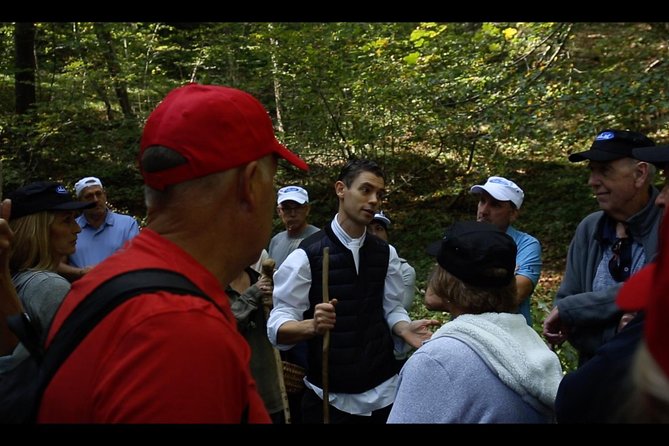Mushroom And Truffle Hunting - Scenic Landscape