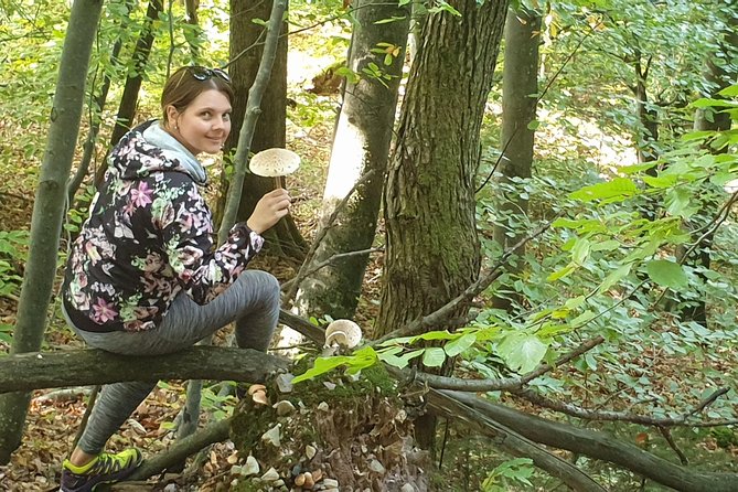 MUSHROOM FORAGING TOUR in Slovenia - Identifying Edible Mushrooms