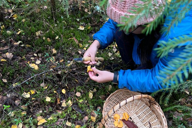 Mushroom Hunting in a National Park - Traveler Reviews