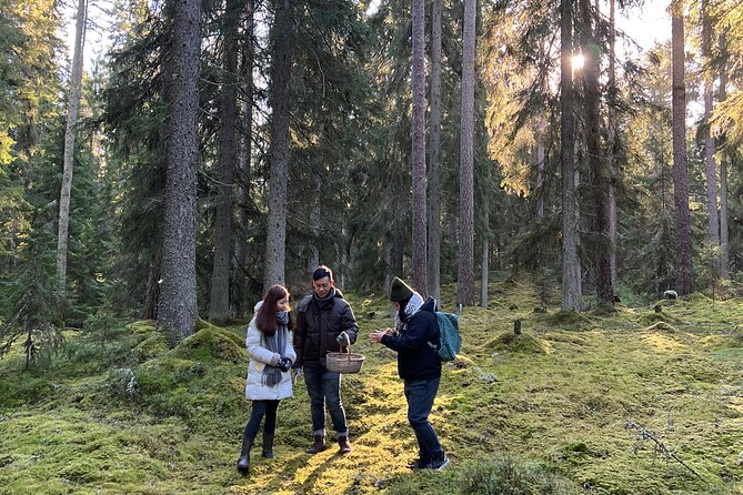 Mushroom Hunting in a National Park - Exploring the National Park