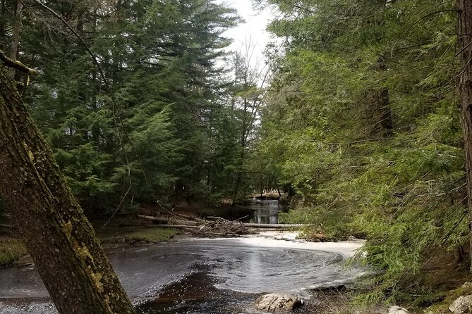 Muskoka Brews With the Views - Why Choose This Tour