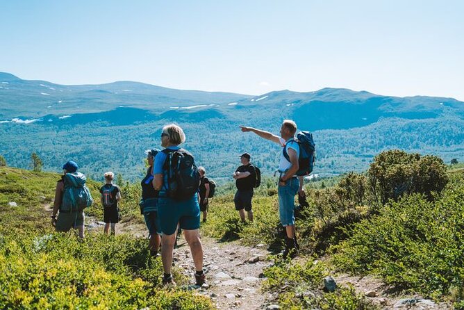 Muskox Safari From Hjerkinn | Dovre & Lesja Active - What to Expect During the Hike