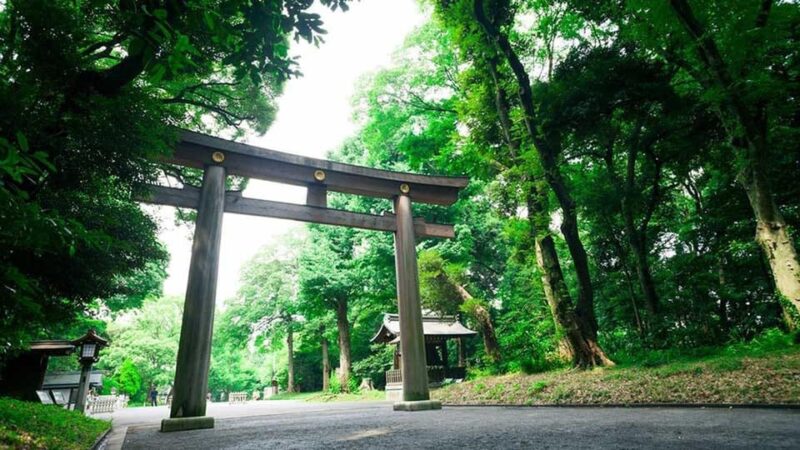 [Muslim Friendly] Tokyo: One-Day Private City Tour - Key Points