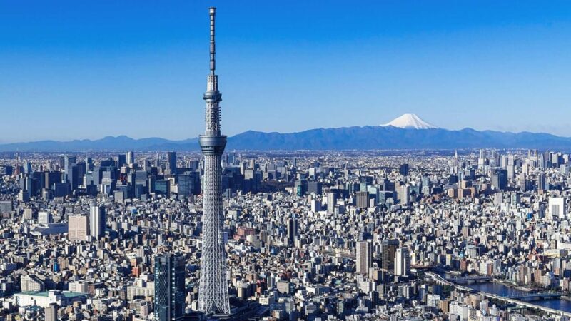 [Muslim Friendly] Tokyo: One-Day Private City Tour - Highlights of the Tour
