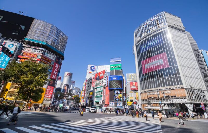 [Muslim Friendly] Tokyo: One-Day Private City Tour - Tour Duration and Languages