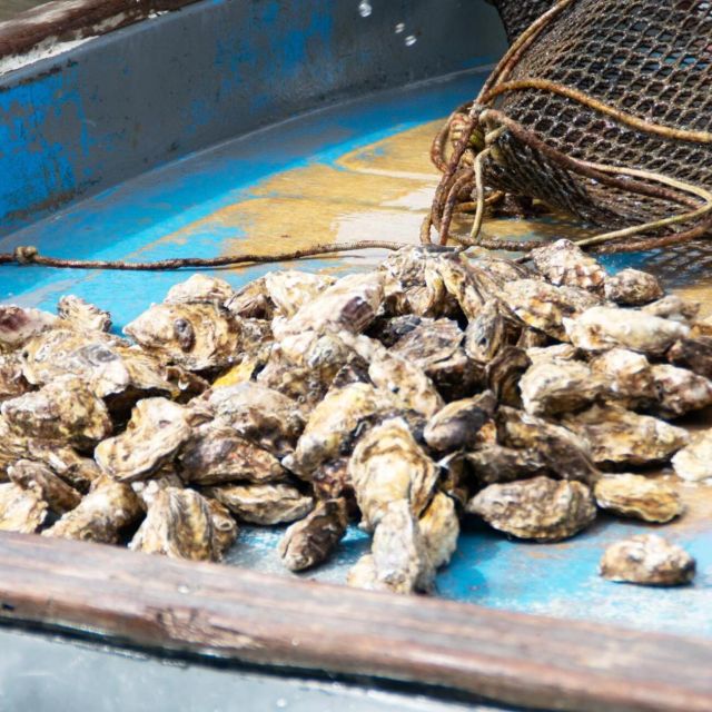 Mussel Boat Tour - Inclusions and Exclusions