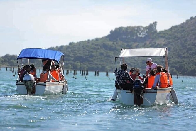 Mussel Sailing Tour With Food and Drink Tasting in Albania - Tour Accessibility and Restrictions