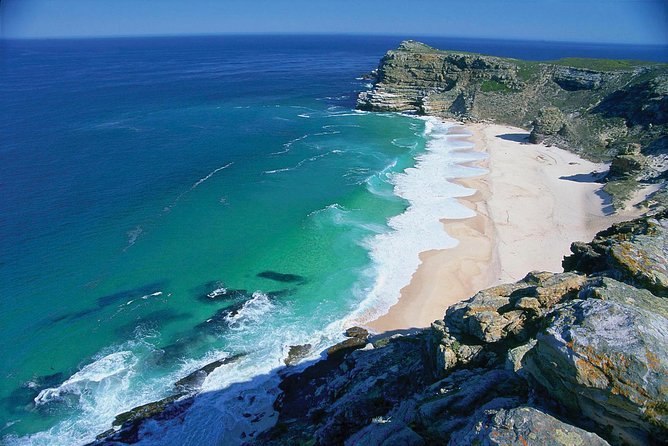 MUST Do: Cape Peninsula Tour & Good Hope From Cape Town! #1 Rated - What to Expect