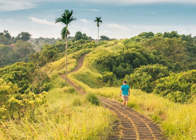 Must-Do Tours in Bali: Mt. Batur, Nusa Penida & Instagram - Tour Inclusions