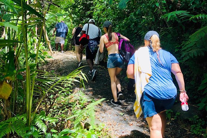 Must-See El Yunque Rainforest Tour With Waterslides and Beach - Appreciating the Tours Overview Specifics
