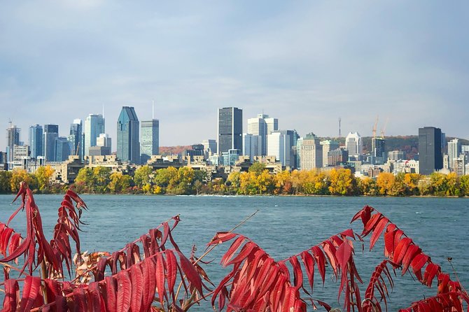 Must See Montreal Walking Tour With A Local Host - Exploring Jean-Talon Market