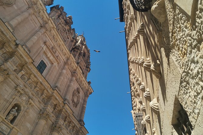 Must See Salamanca Walking Tour (Could Be Billingual) - Tour Highlights