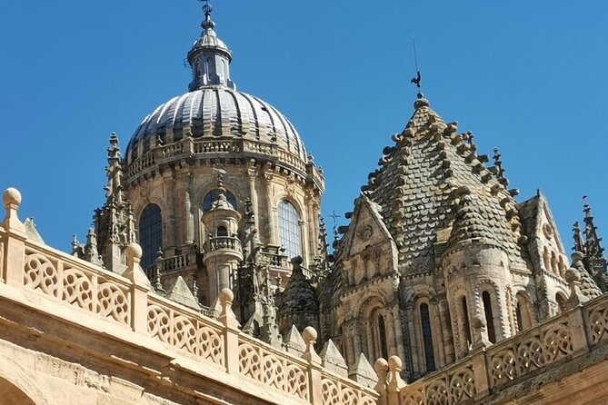 Must See Salamanca Walking Tour (Could Be Billingual) - Booking Information
