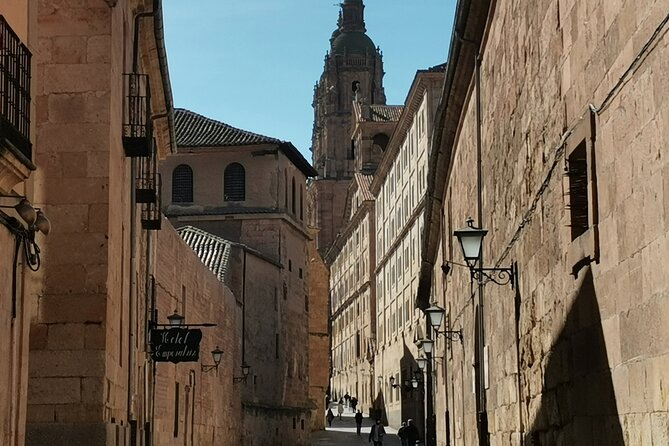 Must See Salamanca Walking Tour (Could Be Billingual) - Reviews