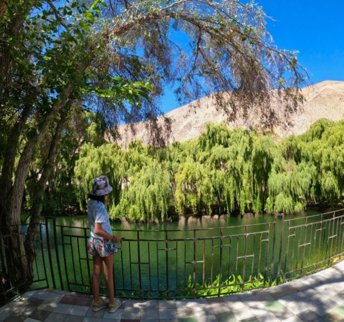Must-sees of the Elqui Valley - Frequently Asked Questions