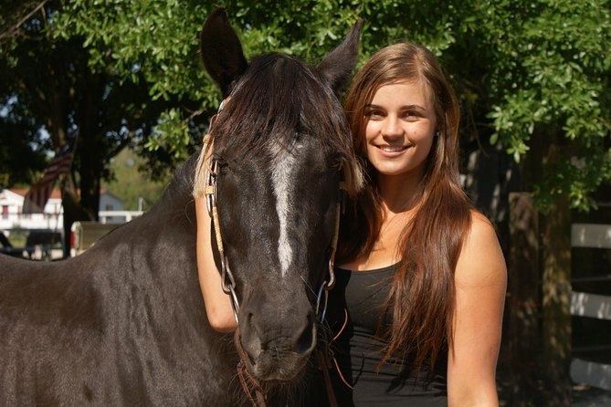 Mustang Horse Rescue Volunteer Experience! Full Day - Key Points