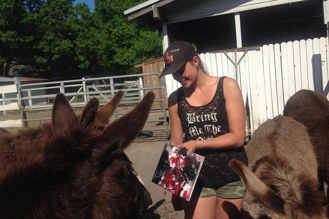 Mustang Horse Rescue Volunteer Experience! Full Day - Meeting and Pickup Details