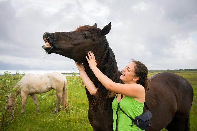 Mustang Horse Rescue Volunteer Experience! Full Day - Booking Confirmation