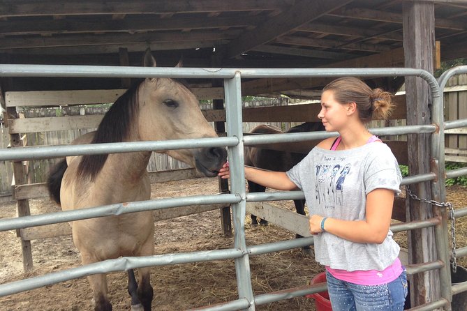 Mustang Horse Rescue Volunteer Experience! Full Day - Accessibility Considerations