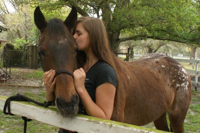 Mustang Rescue & Care Center Half Day Volunteer Experience - Key Points