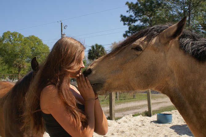 Mustang Rescue & Care Center Half Day Volunteer Experience - Meeting and Transportation Details