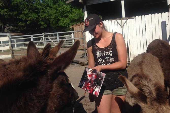 Mustang Rescue & Care Center Half Day Volunteer Experience - Included Amenities and Souvenirs
