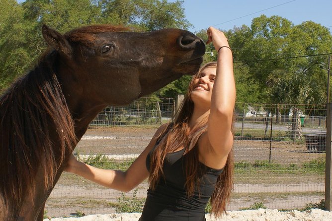 Mustang Rescue & Care Center Half Day Volunteer Experience - Operator and Booking Information