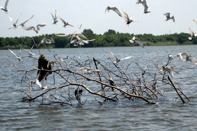 Muthurajawela Bird Watching Tour - Customer Ratings and Feedback