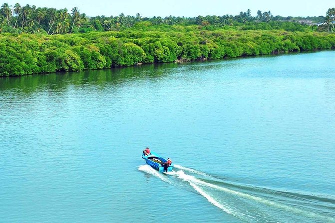 Muthurajawela Bird Watching Tour - Booking and Cancellation Policies
