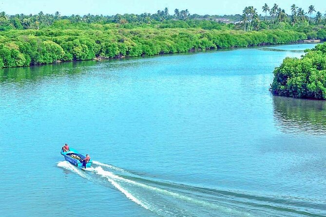 Muthurajawela Bird Watching Tour From Negombo / Colombo - Inclusions and Logistics