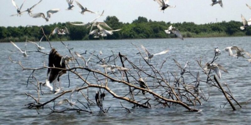 Muthurajawela Wetland: Birdwatching Expedition by Boat - Cultural Significance