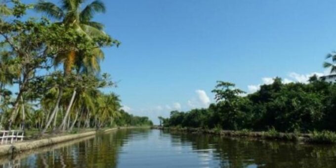 Muthurajawela Wetland: Birdwatching Expedition by Boat - Recap